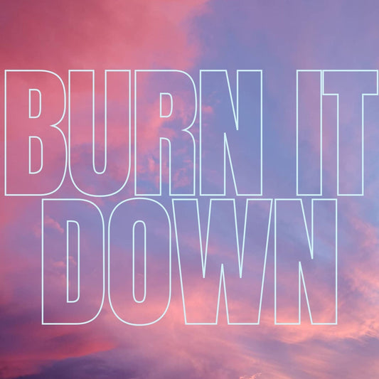If You Ever Feel Like Burning It All Down, I Highly Recommend You Do