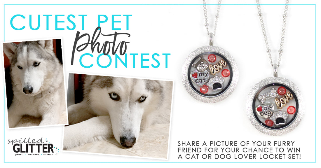 2018 Cutest Pet Photo Floating Locket Contest